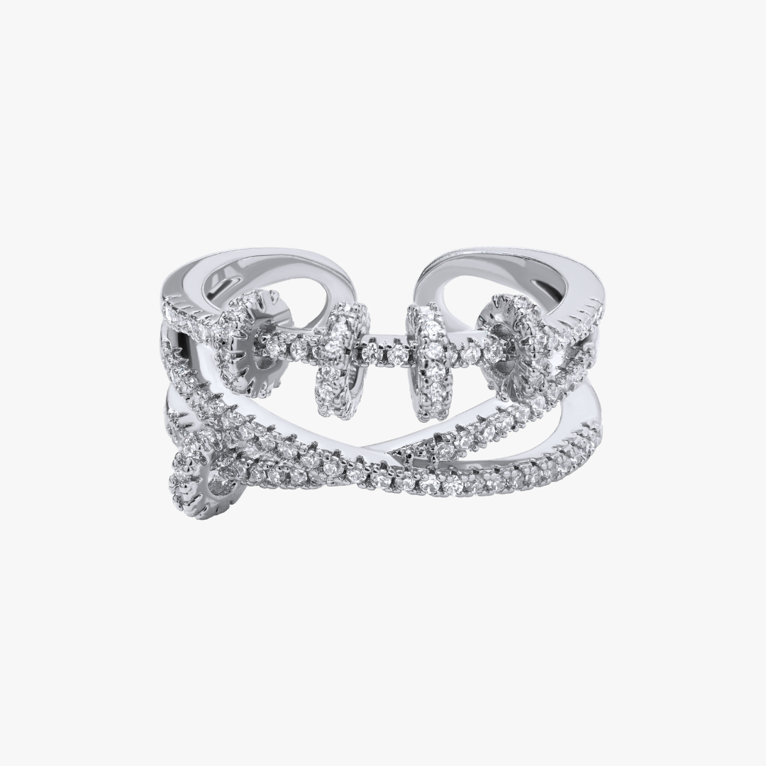 Luxe Fidget Ring